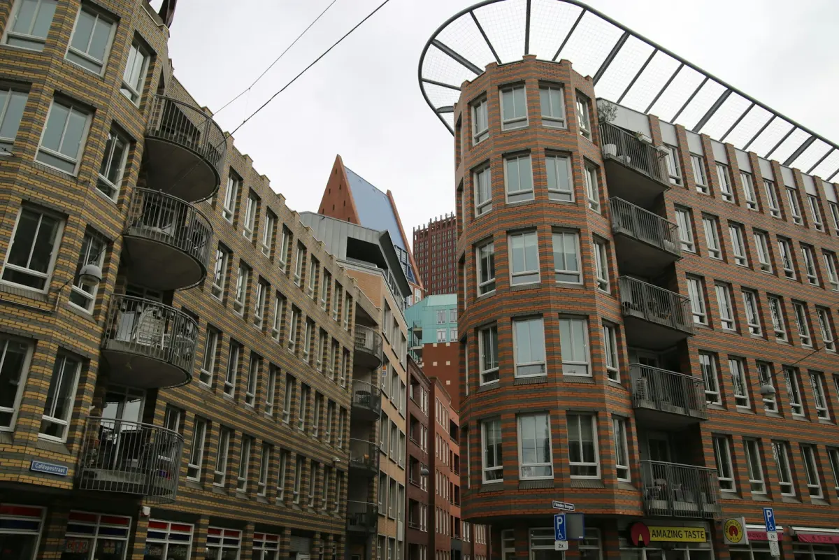Netcongestie Den Haag Binckhorst: oorzaak & gevolgen