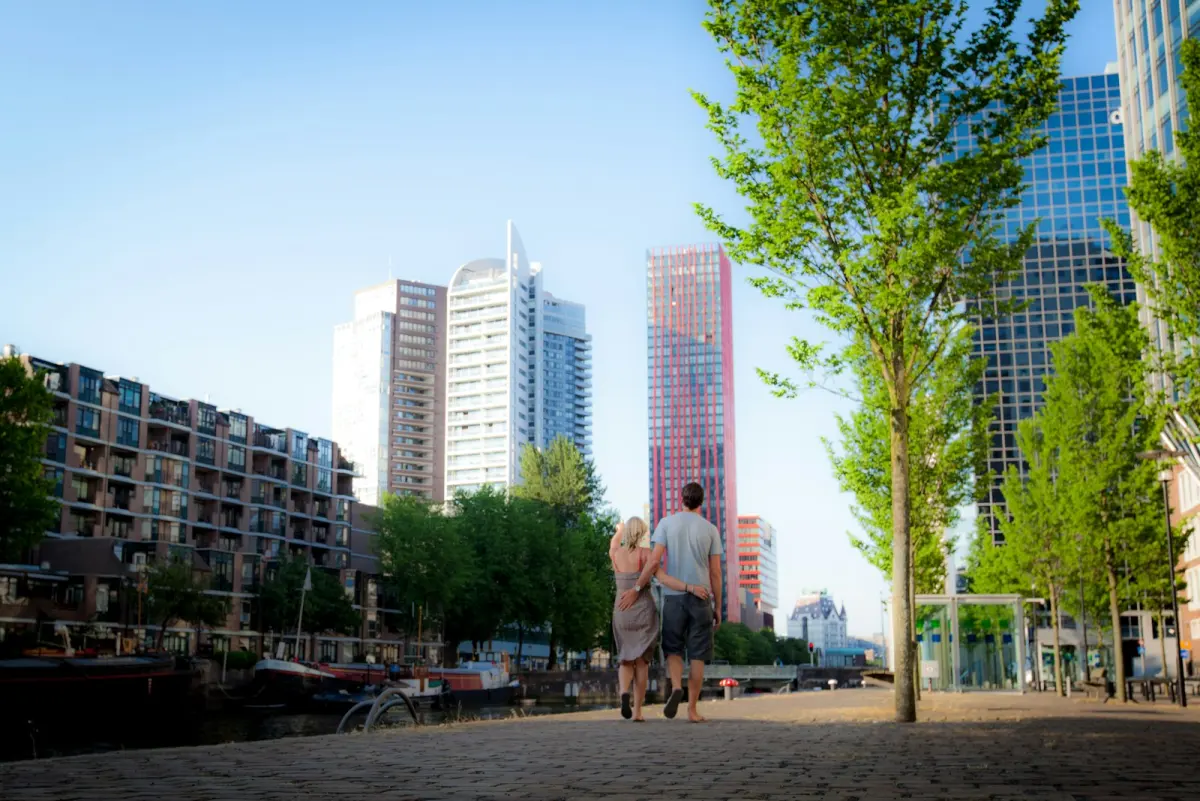 Stedin voorbereiding grote stroomstoring Zuid-Holland