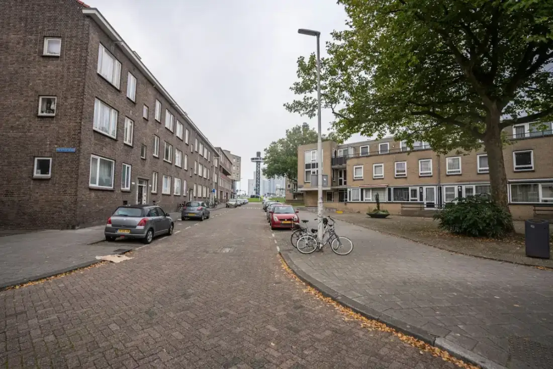 Stroomstoring Hoogvliet Rotterdam: oorzaak & herstel